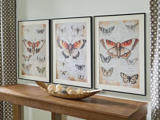 Ashley Express - Jossletts Wall Art Set (3/CN)